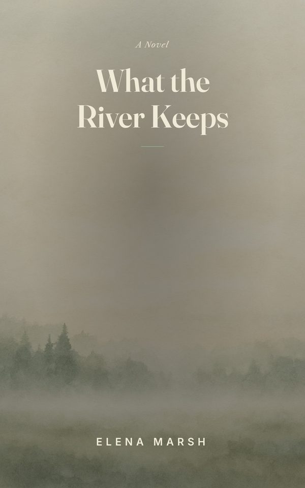 Literary Fiction cover example